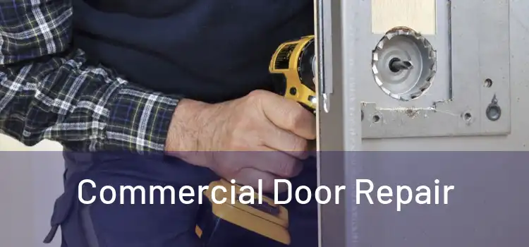 Commercial Door Repair